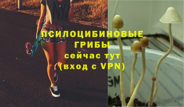 spice Арсеньев