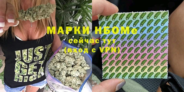 эйфоретик Аркадак