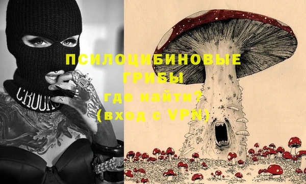 эйфоретик Аркадак