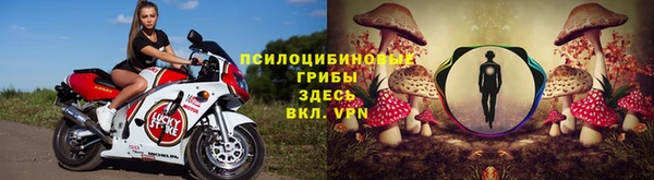 spice Арсеньев