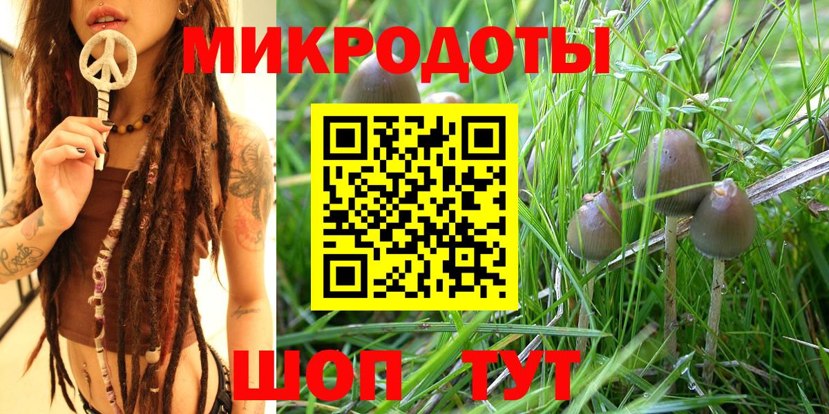 Псилоцибиновые грибы мицелий Спасск-Дальний